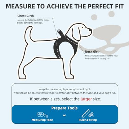 PUPTECK Dog Harness, Collar and Leash Set No Pull - Image 2