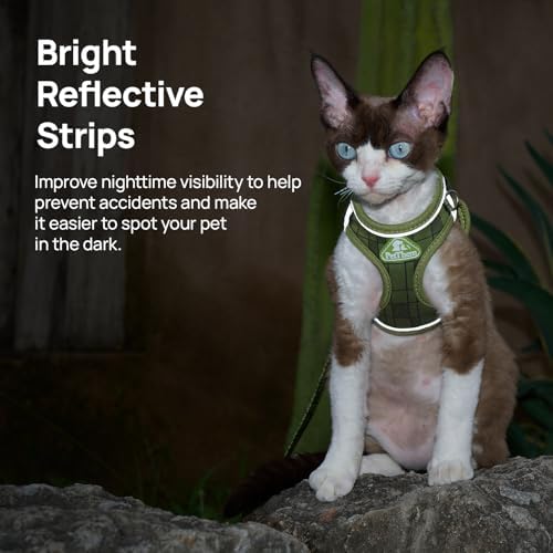 Upgraded Cat Harness and Leash Set - Image 6