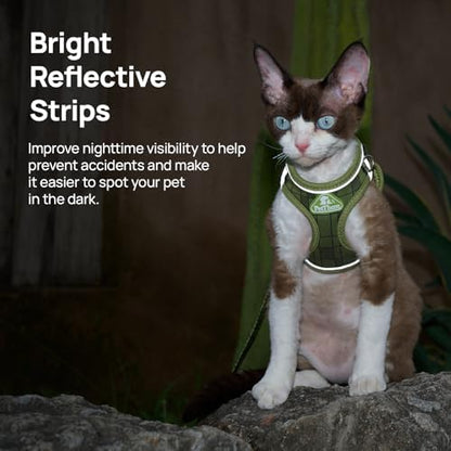 Upgraded Cat Harness and Leash Set - Image 6