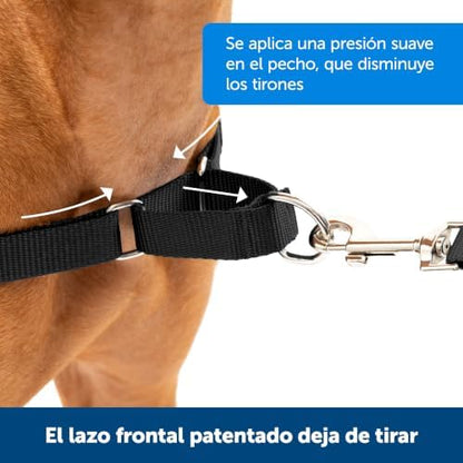 PetSafe Easy Walk Harness, No Pull Dog Harness, Royal Blue, Medium/Large - Image 2