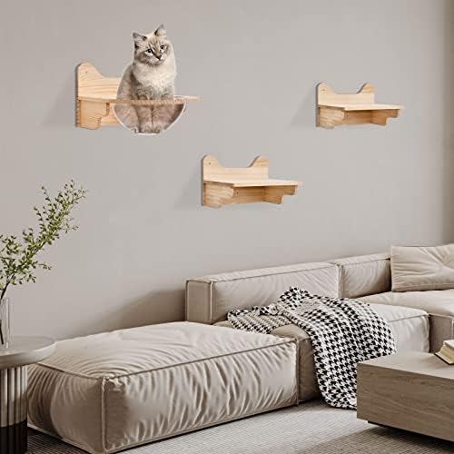 Wall-Mounted Wooden Cat Space Clear Capsule, Transparent Capsule - Image 6