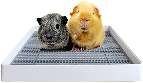 PODOO Rabbit Litter Box – Training Potty Tray by PODOO