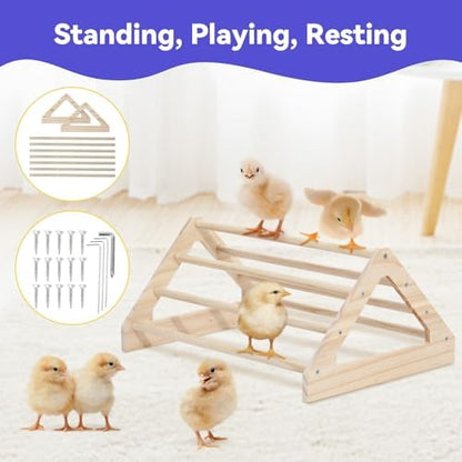 Pawaboo Chick Brooder Box for Chick Starter Kit - Image 5