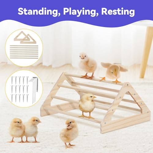 Pawaboo Chick Brooder Box for Chick Starter Kit - Image 5