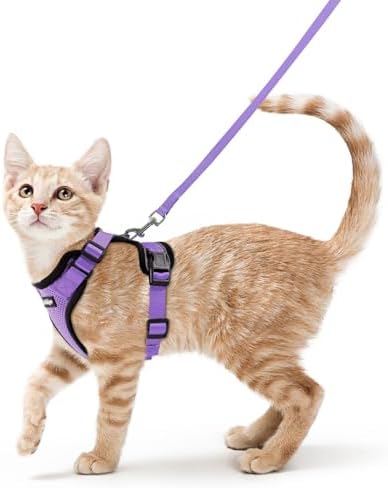 rabbitgoo Cat Harness and Leash Set, Escape Proof Vest, Light Purple by rabbitgoo