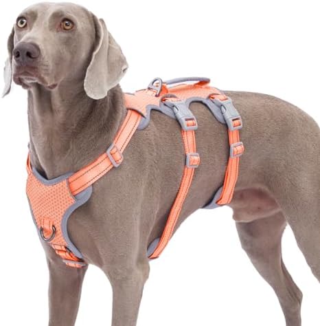 Huntboo Escape Proof Dog Harness, No Pull Reflective Harness by Huntboo