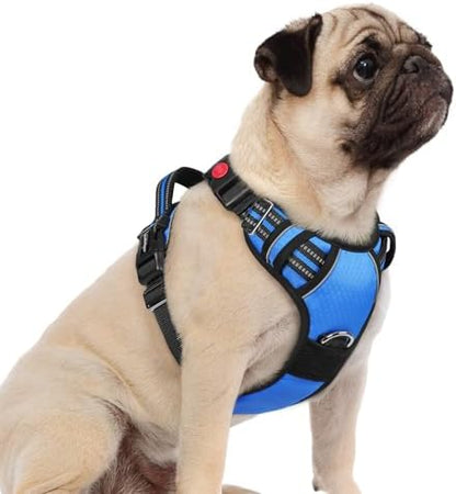 rabbitgoo Dog Harness Small Sized, No Pull 3 Buckles Easy On & Off by rabbitgoo