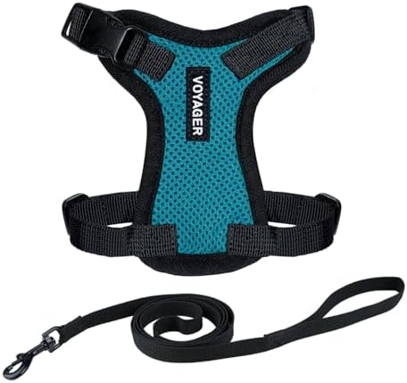 Voyager Step-in Lock Cat Harness & Leash Set by BestPetSuppliesLLC