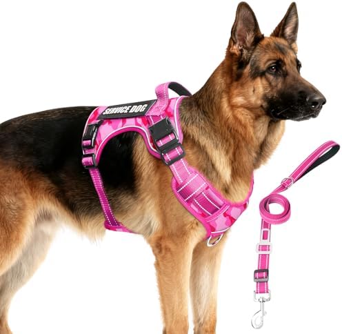 Tactical Dog Harness and Leash Set by MOOGROUPETSFRIEND