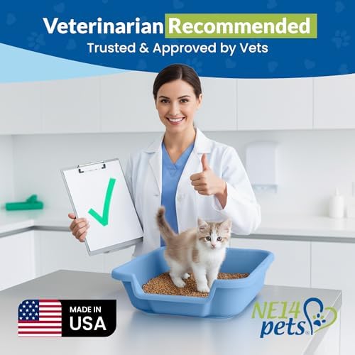 KittyGoHere Senior Cat Litter Box Small - Image 4