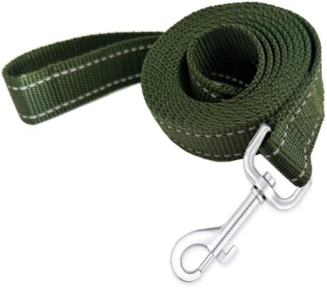 Reflective Dog Leash 4FT Long, 5/8 Inch Wide, by TAIDA