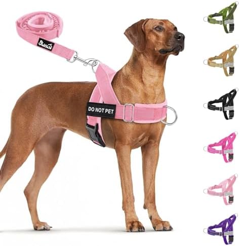 SlowTon No Pull Dog Harness and Leash Set by SlowTon