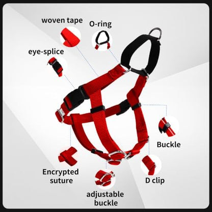 Freedom No Pull Dog Harness - Image 6