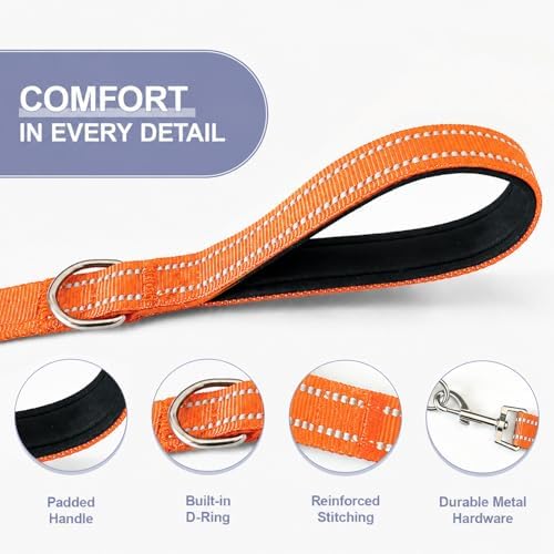Double Dog Leash Padded Handle 360°Swivel No Tangle Dual Leash - Image 4