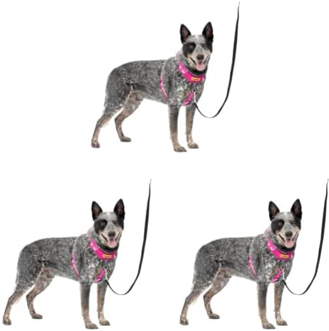 PetSafe Easy Walk Comfort No Pull Dog Harness by PetSafe