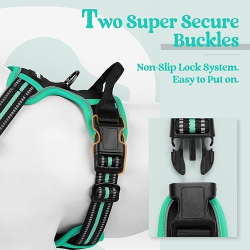 rabbitgoo Dog Harness, No Pull for Small Dogs - Image 3