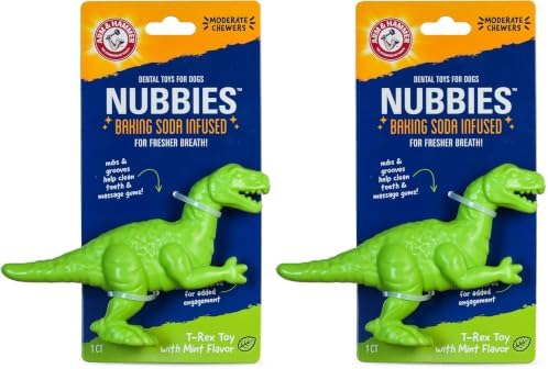 Arm & Hammer for Pets Nubbies Dental Toys T-Rex Dental Chew Toy for Dogs Best by ArmHammer