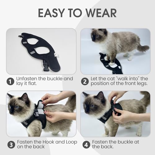 Heywean Cat Harness and Leash Escape Proof, Soft Breathable Mesh Kitty Walking - Image 6