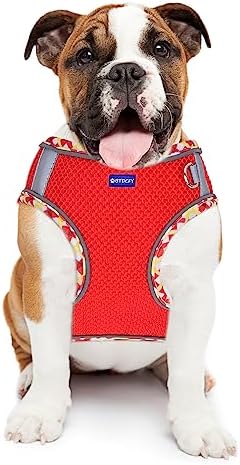 Step in Mesh Dog Harness and Leash Set Breathable Air Mesh Harness - Image 7
