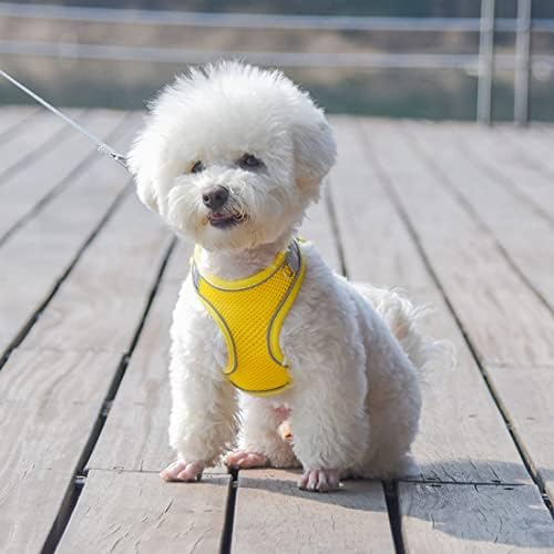 Puppy Harness for Small Dogs - Image 5