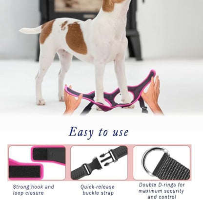 Comfort Fit No Pull Dog Harness - Image 5