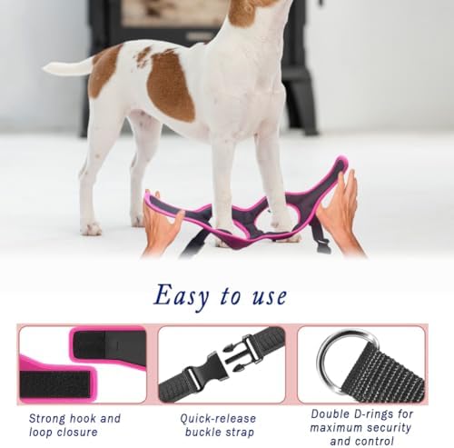 Comfort Fit No Pull Dog Harness – Adjustable Step-in Vest - Image 5