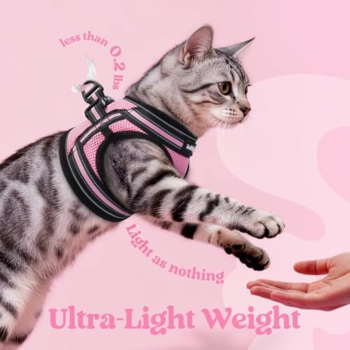 rabbitgoo Cat Harness and Leash Set, Step-in Soft Vest - Image 6