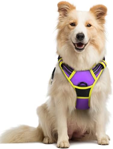 rabbitgoo Dog Harness, No Pull Medium Sized by rabbitgoo