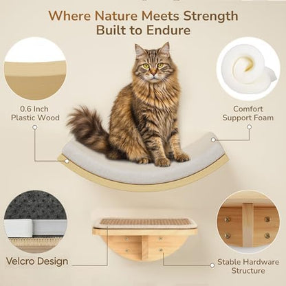 Cat Window Perches, Cat Wall Shelves - Image 2