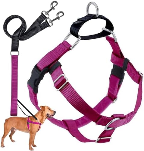 2 Hounds Design Freedom No Pull Dog Harness and Leash, 5/8" MD by 2HoundsDesign