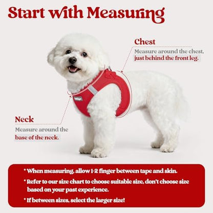 rabbitgoo Dog Harness Small Sized and Leash Set, Step-in Puppy Pet Vest - Image 2