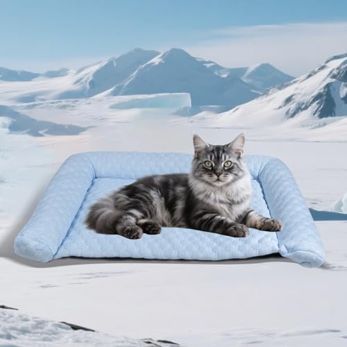 Cooling Mat - Thicken Portable & Foldable Mat by Unknown