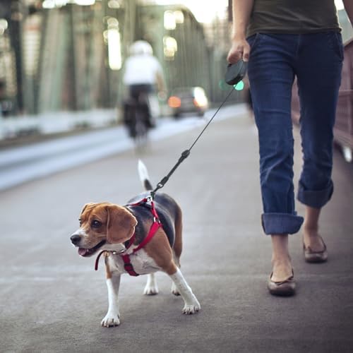 Idepet Heavy Duty Retractable Dog Leash Steel Chain 16ft Pet Leashes - Image 7