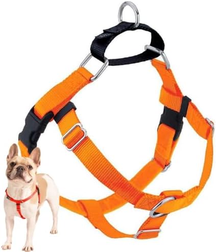 2 Hounds Design Freedom No Pull Dog Harness, 1 inch XL, Neon Orange by 2HoundsDesign