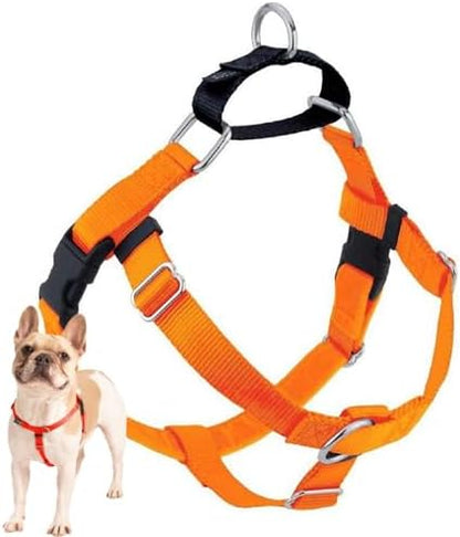 2 Hounds Design Freedom No Pull Dog Harness, 1 inch XL, Neon Orange by 2HoundsDesign