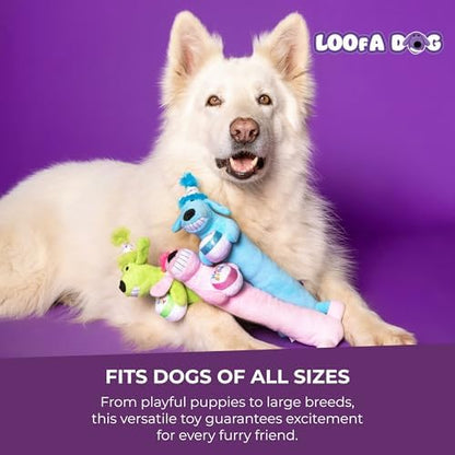 Multipet Loofa Dog Plush Toy - Image 7