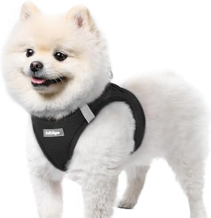 rabbitgoo Step-in Small Dog Harness, Puppy Vest by rabbitgoo
