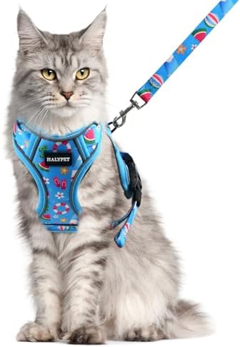 Halypet Cat Harness and Leash Set, Escape Proof Adjustable Harness by DOMoreWithYourPet