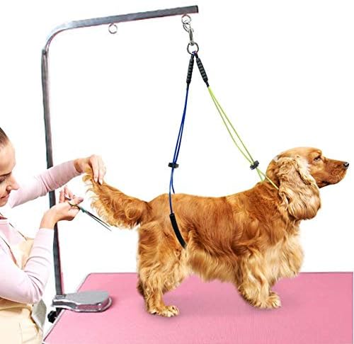 Oumefar Adjustable Pet Grooming Leash No-Sit Haunch Holder Restraint Wash by Oumefar