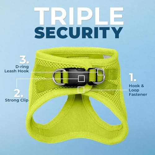 Voyager Step-in Air Cat Harness & Leash Set - Image 2