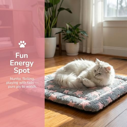 Cat & Dog Bed Mat - Image 2