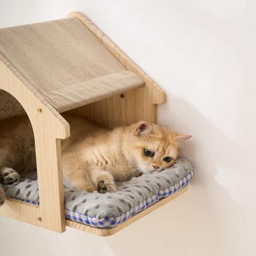 SHENGOCASE 2-Pack Cat Wall House - Image 5