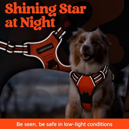 rabbitgoo Dog Harness for Large, No Pull 3 Buckles Easy On & Off - Image 6