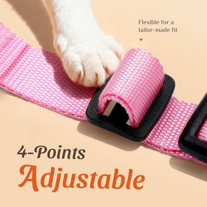 Dooradar Cat Harness and Leash Set, Adjustable and Escape Proof - Image 3