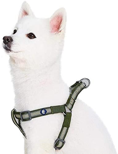 Blueberry Pet Essentials Step-in Reflective Back to Basics Dog Harness by BlueberryPet