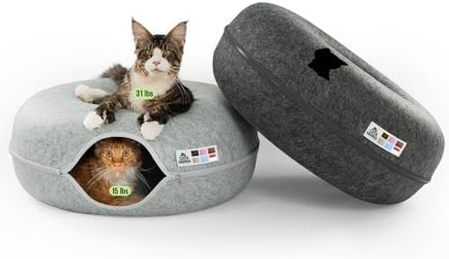 Cattasaurus Peekaboo Cat Cave Duo Jumbo Set, Extra Spacious Cat Donut by Cattasaurus