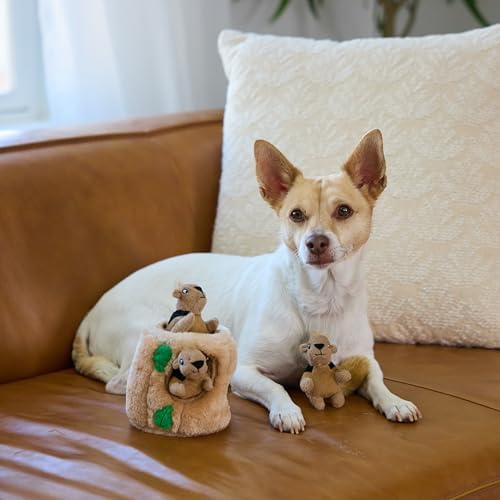 Outward Hound Hide-A-Squirrel Plush Squeaky Dog Toy - Image 6