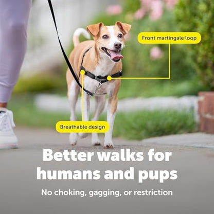 PetSafe Easy Walk Harness, No Pull Dog Harness - Image 5