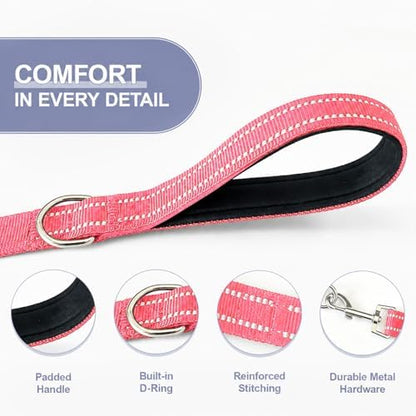 Double Dog Leash Padded Handle 360°Swivel No Tangle Dual Leash - Image 4