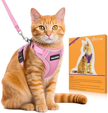Cat Harness and Leash Set, Escape Proof Kitten Harness by DOMoreWithYourPet
